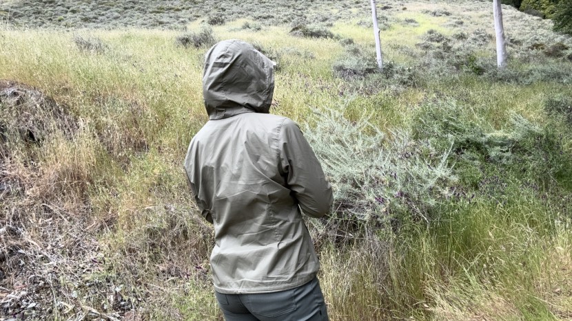 columbia switchback iv - the stowable hood on the columbia switchback iv is easy to use while...