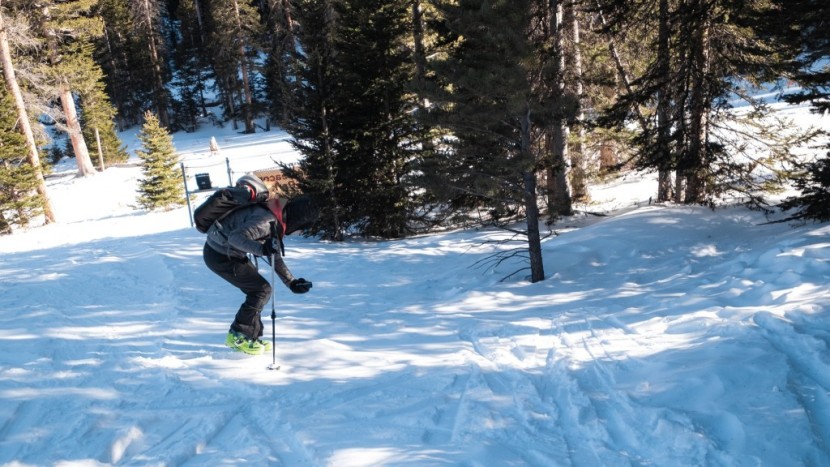 avalanche beacon - the new guided fine search function on the barryvox s2 significantly...