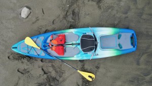 perception hi life 11.0