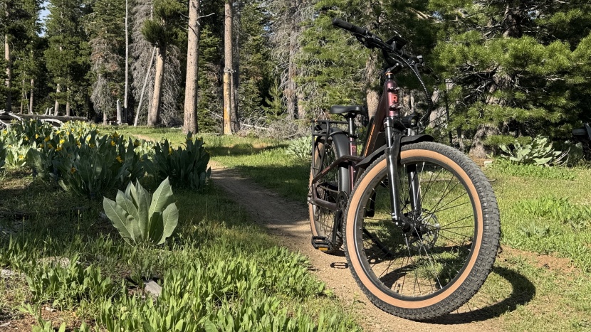 rad power radster trail - you can explore with confidence on the radster, these tires are...