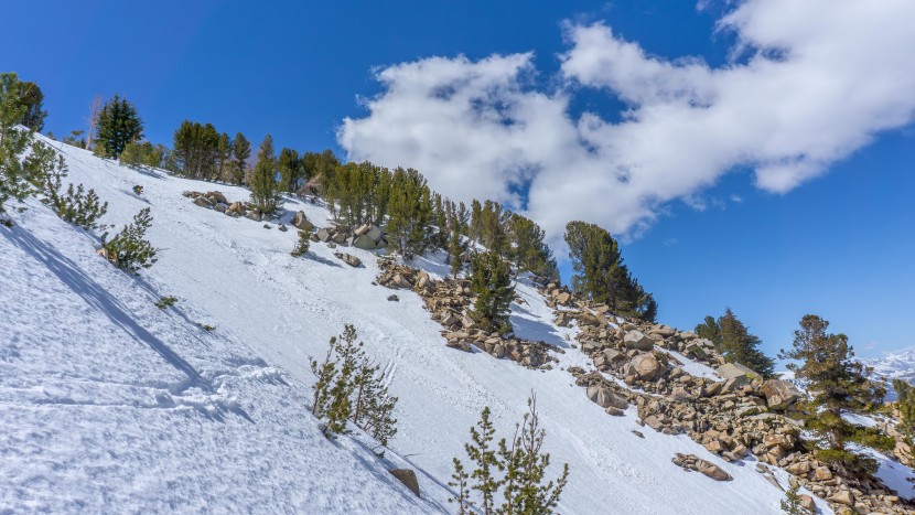 walkie talkies - if staying near your ski group, models like the cardo palktalk...