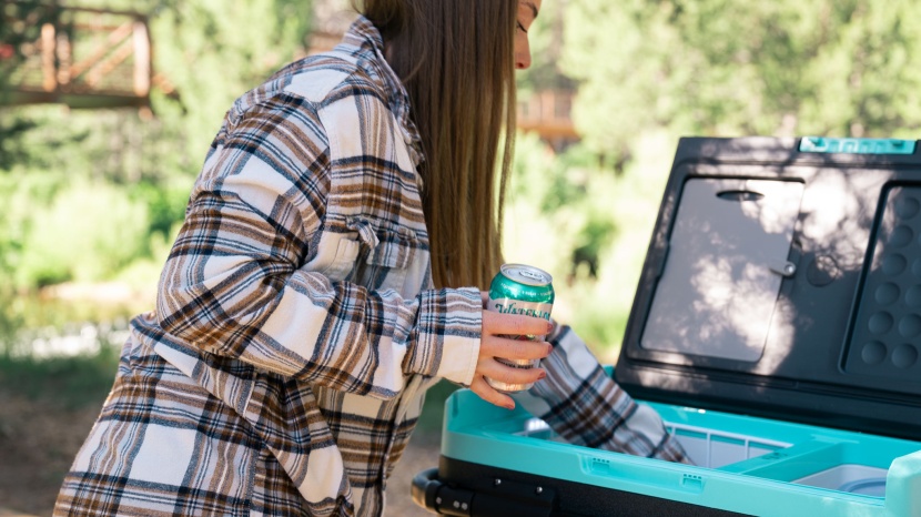 renogy 53 quart - the renogy is a great value that can hold a ton of food and drinks.