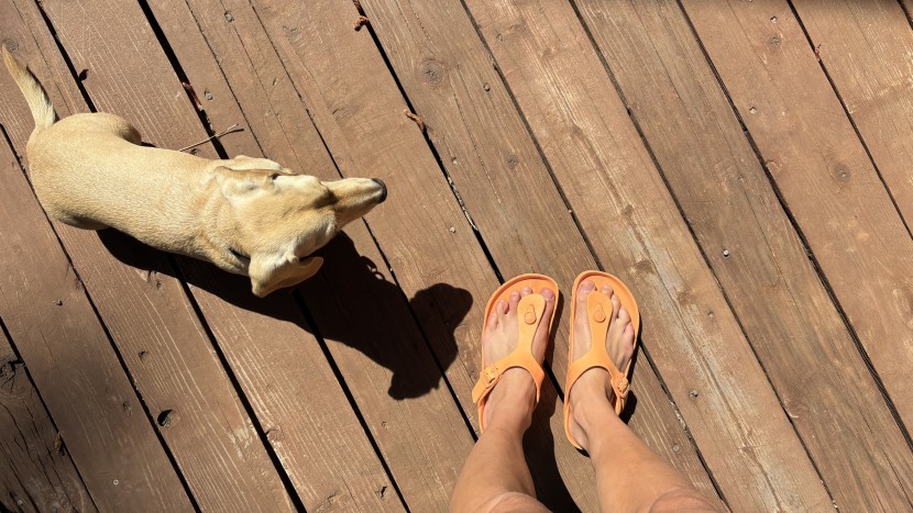 birkenstock gizeh essentials eva - we love all the fun colors these flip flops come in