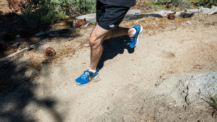 nike pegasus trail 5