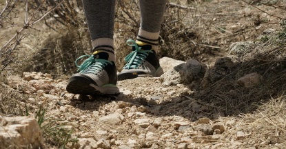 Product photo of Danner Trail 2650 - Women's