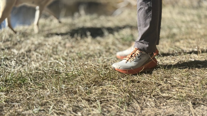 walking shoes men - with a stable 31 millimeters under the heel, the altra experience...