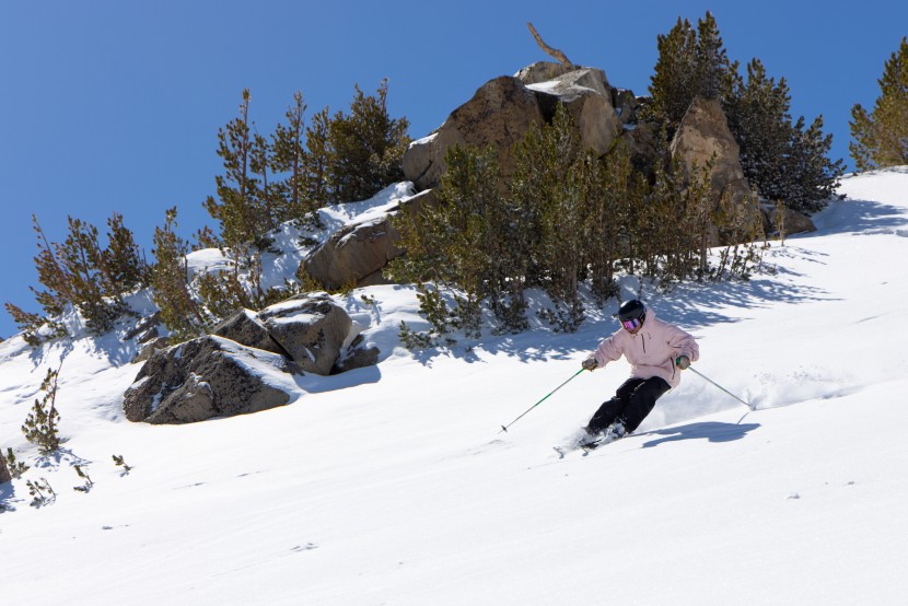 confident and playful charging are the declivity's specialty.