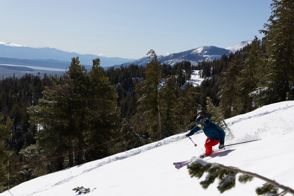 dps wailer 100 - stable, playful, and a heap of fun in powder. that basically sums up...