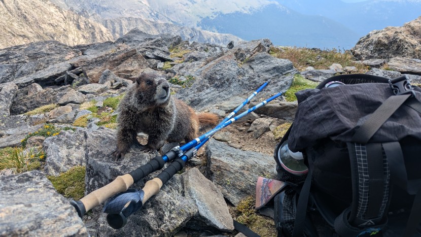 trekking poles - does versatility include snack attack? the trek-z is an excellent...