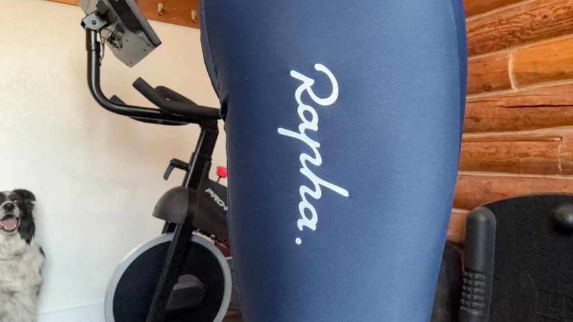 bike shorts men - even dogs appreciate the reflective logos on the rapha core bibs.