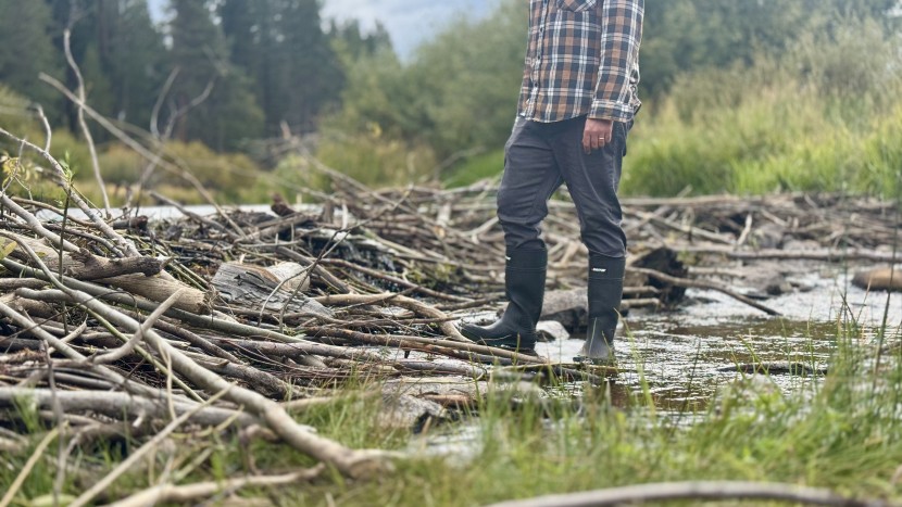 baffin enduro - you&#039;ll have fun exploring in the enduros.