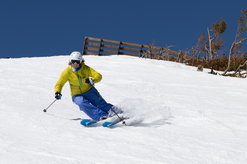 dynastar m-pro 98 w - with a bit more depth, like springtime slush, this ski was able to...