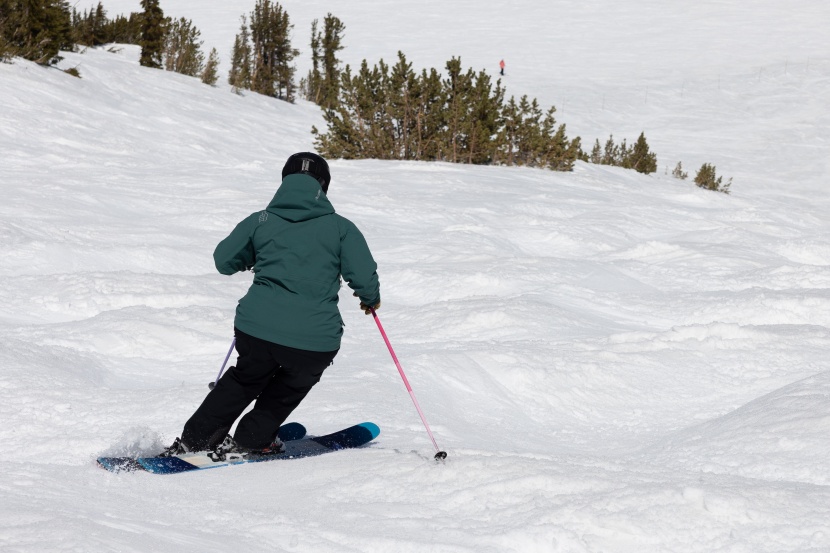 dynastar m-pro 98 w - while the weight and flex profile should have made the m-pro 98 w a...