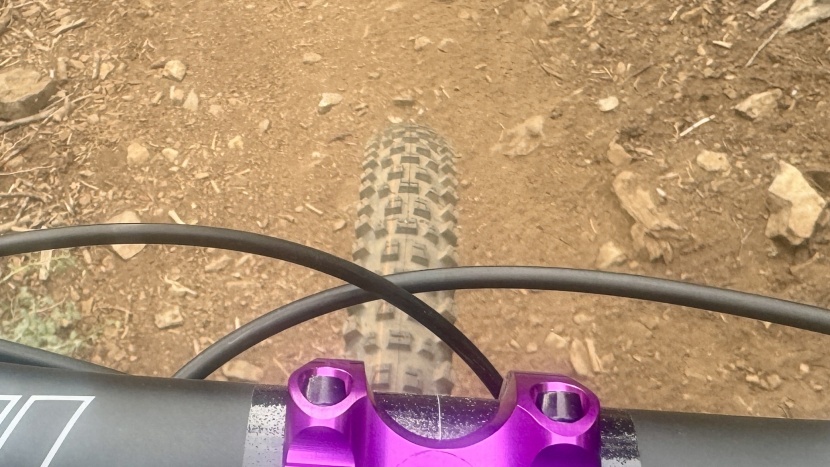 schwalbe albert radial trail pro - a more rounded tread profile gives the tire a smooth transition into...