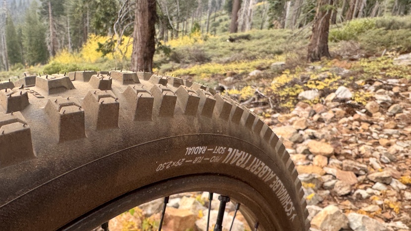schwalbe albert radial trail pro - less bite and rolling resistance than the magic mary radial, the...