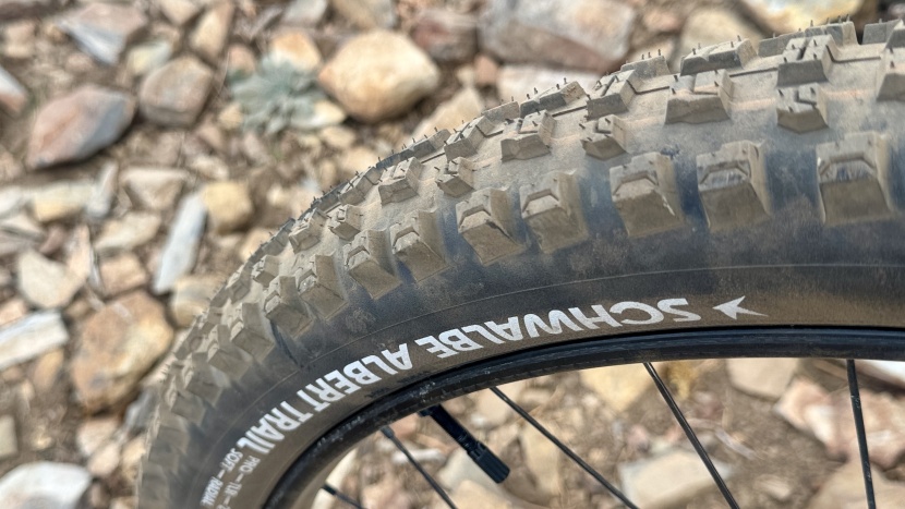 schwalbe albert radial trail pro