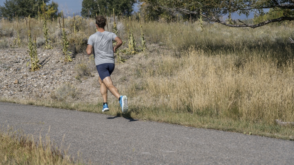 hoka clifton 10 - the clifton 10 is a no-nonsense trainer. it gets the job done.