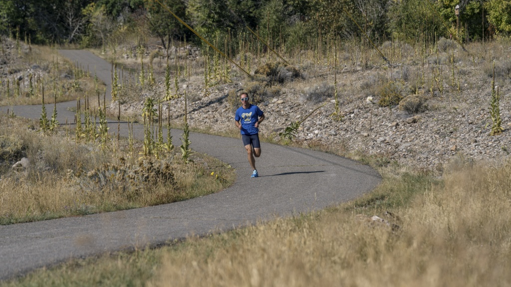 brooks ghost 17 - the ghost 17 is the best ghost in years thanks to a few key updates