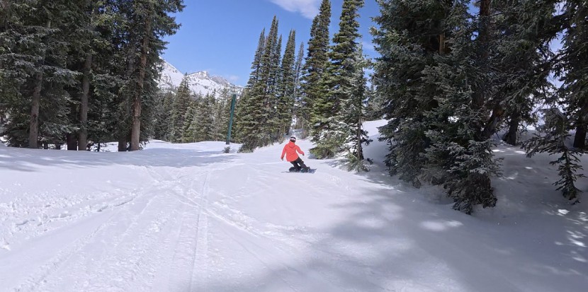 jones women's howler - the jones howler carries you across varied terrain while still...