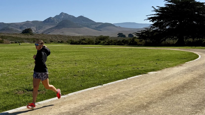 asics metaspeed sky tokyo - for casual runs, park jogs, or local 5ks, other shoes may be more...