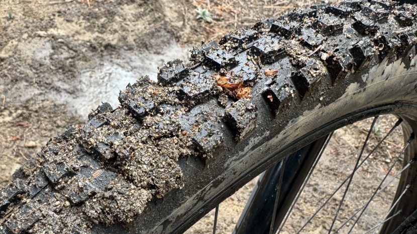 schwalbe albert radial trail pro - no secret mud-shedding powers, while the tire occasionally packed up...