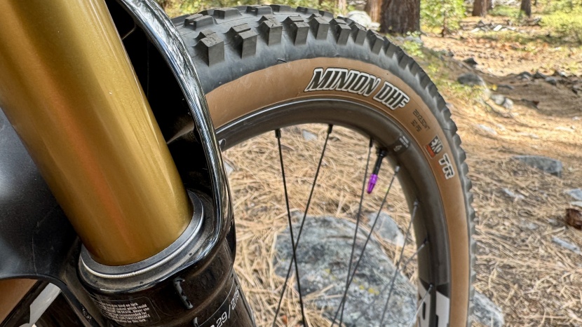 mountain bike tires - the minion dhf is a favorite that doesn&#039;t need to be relegated to...