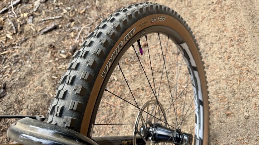 mountain bike tires - the maxxis minion dhf is arguably the most popular tire ever, thanks...