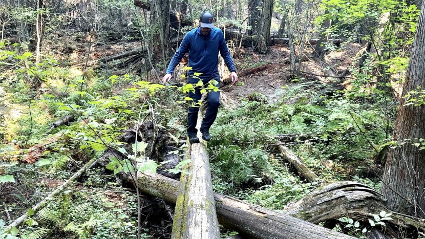 zamberlan 996 vioz gtx - the zamberlan 996 vioz gtx boots aren&#039;t particularly agile for...