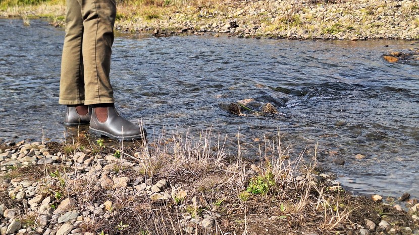 blundstone original chelsea - exploring some local rivers won&#039;t be hampered when you&#039;re wearing...