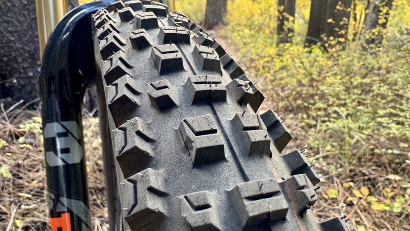 mountain bike tires - the albert&#039;s shoulder lugs have less slant than the aggressive magic...