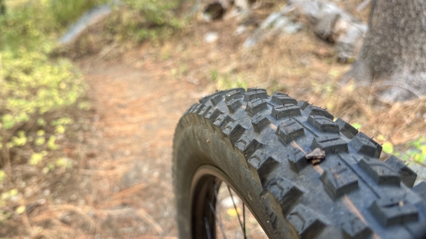 schwalbe albert radial trail pro - an all-around, all-mountain radial that delivers exceptional traction.