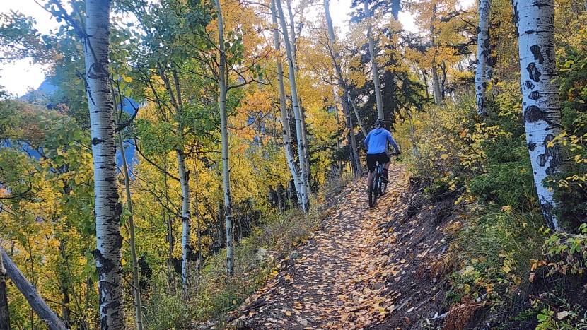bike shorts womens - testing cycling shorts is every type of terrain and conditions