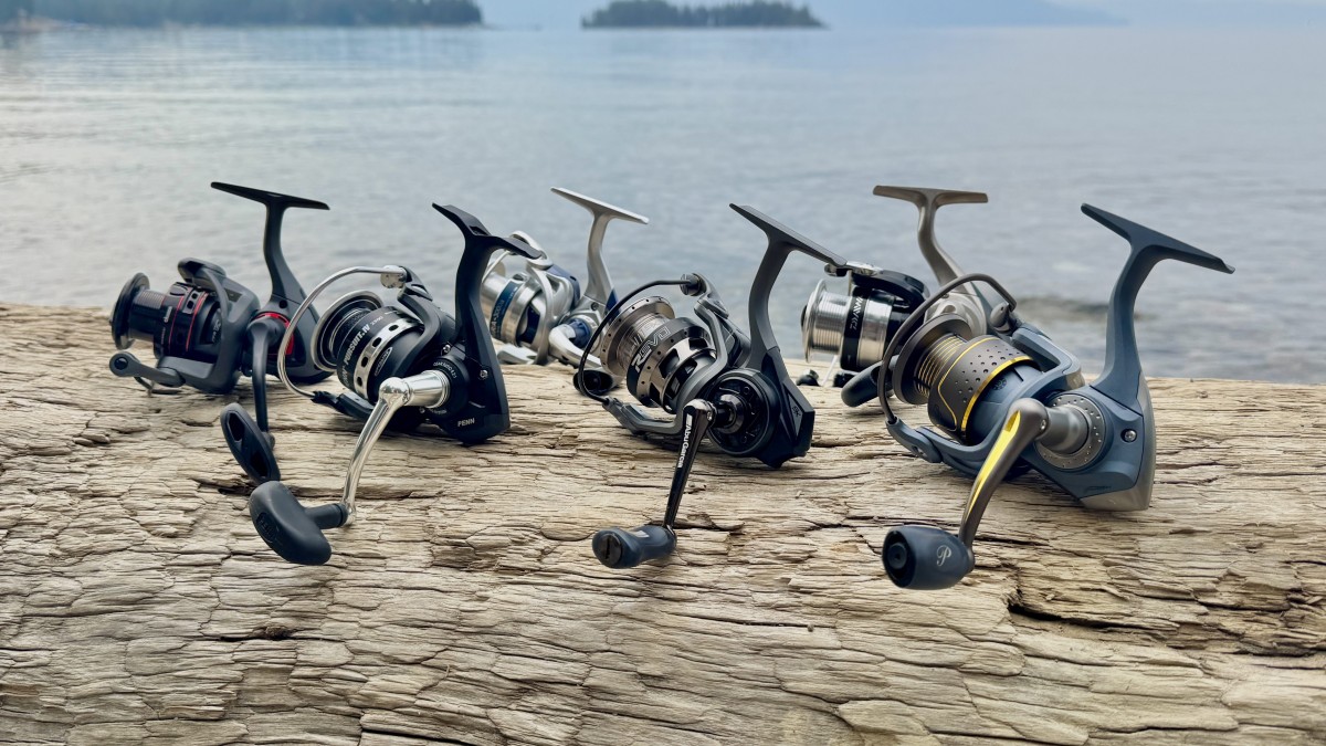Best Fishing Reel Review