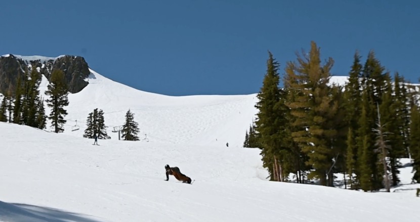 jones women's howler - the jones howler loves to be on edge