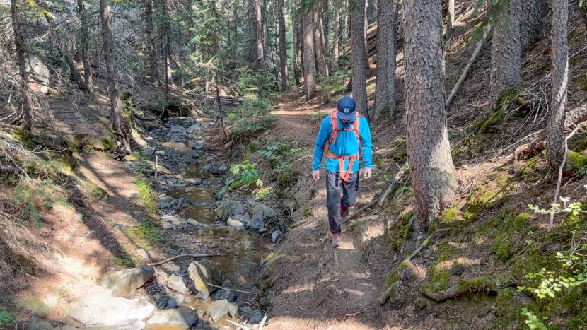 softshell jacket men - the hoodless tek approach was comfy to hike uphill with, thanks in...