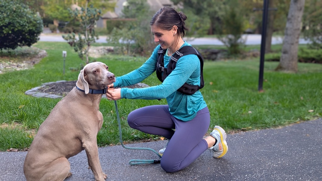 henkelion weighted vest - we loved tossing the henkelion on while taking our dogs for a walk;...