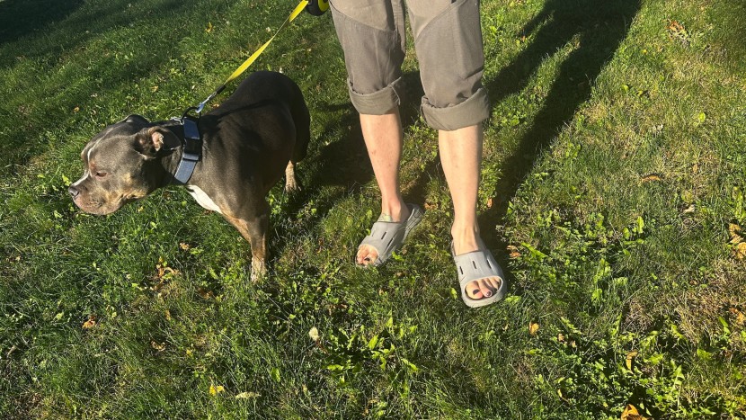 just over 8 ounces per sandal with a thick cushioned sole these...