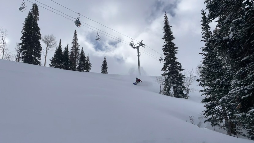 arbor el camino - it's comforting knowing that the el camino is solid enough to get us...