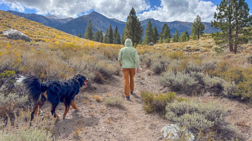 from dog walks to playing in the lake, the brewers are a...