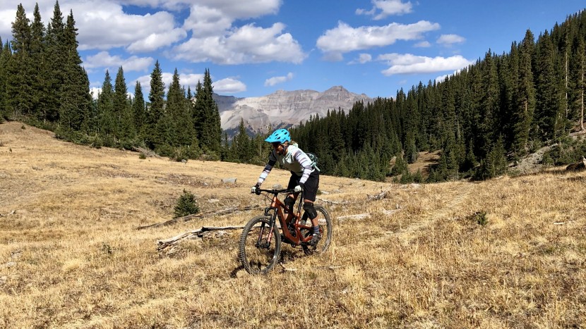 bike shorts - the right cycling shorts can provide comfort for all different types...