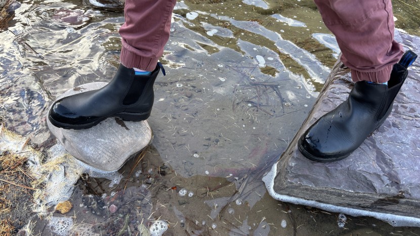 blundstone thermal chelsea for women - blundstones look good with shorts, pants, dresses, and even...