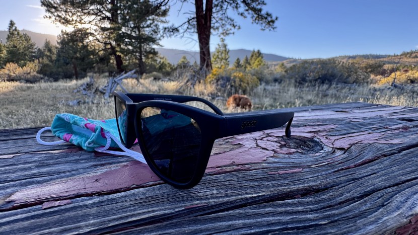 sunglasses mens - the classic wayfarer frame from goodr goes with any style.