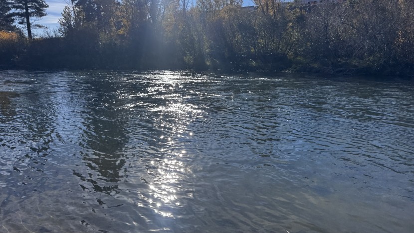 No Sunglasses photo comparison