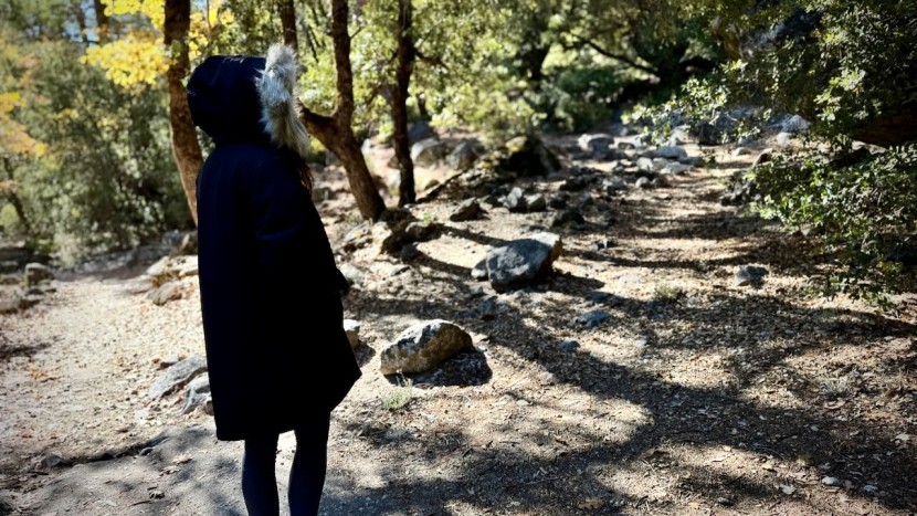 this high performing winter jacket is perfect for the most rugged...