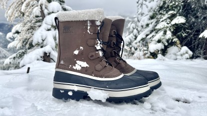 sorel caribou