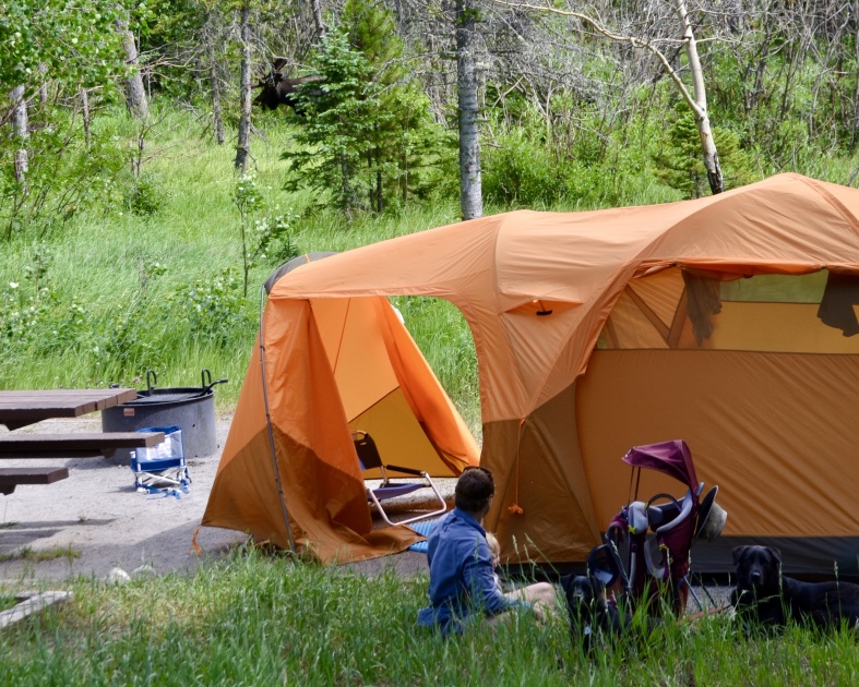 the north face wawona 6 - moose! yes, the vestibule is probably big enough for this moose to...