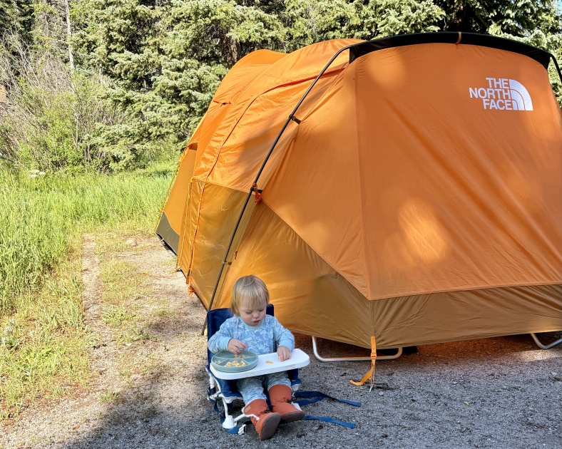 the north face wawona 6 - we expect the wawona to last from a toddler's first camping trip...