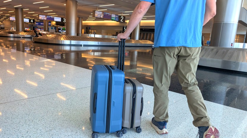 travel bag - our pair of gregorys both proved themselves to be reliable cases...