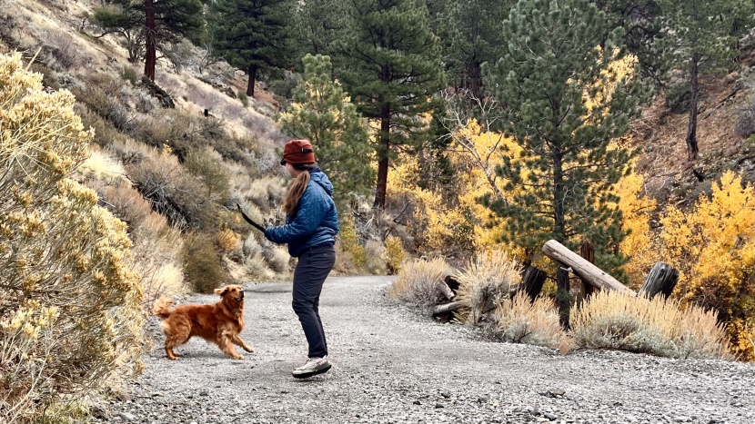 rei co-op activator for women - we were happy to take these pants anywhere we went, whether it was...