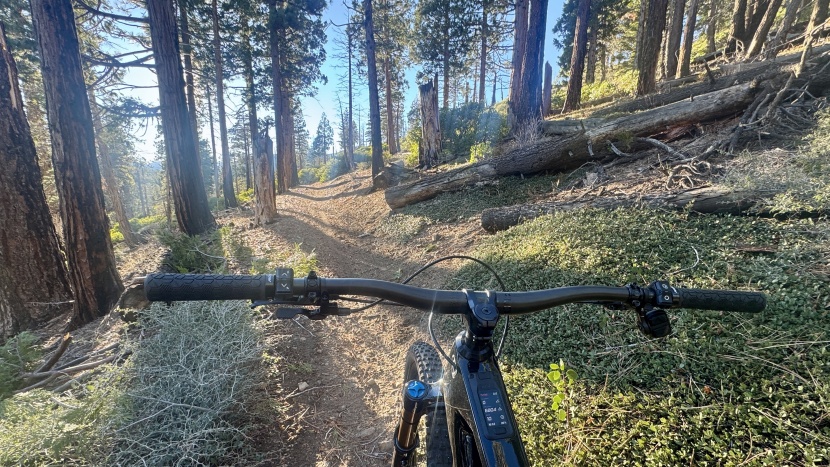 amflow pl carbon pro - a clean cockpit with wireless controllers on both sides of the...